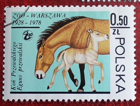 Польша 1978 Лошадь Пржевальского Sc#2301 Used
