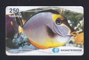 Телефонная карта Казахстан Рыбы 250 единиц.