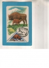 Календарик 1987 Филателия фауна зубр
