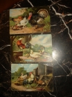 3 старинные открытки.ПТИЧИЙ ДВОР, до 1917года
