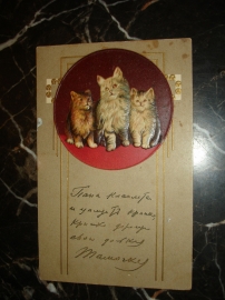 Старинная открытка с тиснением.КОТЯТА,до 1917года с элементами модерна