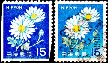 Япония 1966 год . Флора - Хризонтемы (пара , оттенки) .