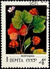 СССР 1982 год . Флора . Морошка .