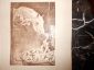 Старинная литография.ВАЛЬТЕР.ДВЕ СЕМЬИ(лошади и собаки), Россия до 1917г. 40на31см - вид 5