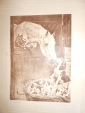 Старинная литография.ВАЛЬТЕР.ДВЕ СЕМЬИ(лошади и собаки), Россия до 1917г. 40на31см - вид 7