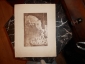 Старинная литография.ВАЛЬТЕР.ДВЕ СЕМЬИ(лошади и собаки), Россия до 1917г. 40на31см - вид 8