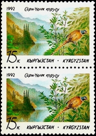 Кыргызстан 1992 год . Вид на озеро Сары-Челек и Фазан Обыкновенный .