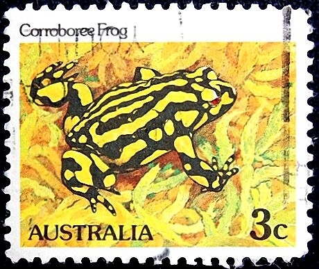 Австралия 1982 год . Лягушка корробори .