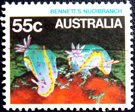 Австралия 1984 год . Молюски Bennett's Nudibranch .