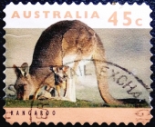 Австралия 1994 год . Восточный серый Кенгуру .