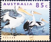 Австралия 1994 год . Австралийский пеликан .