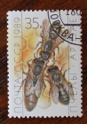 СССР 1989 Пчелы Пчеловодство #6005 Used