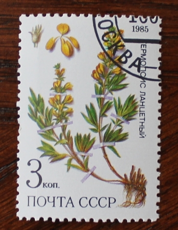 СССР 1985 Лекарственные растения Сибири #5581 Used