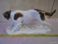 Фарфоровая статуэтка собаки Сеттер Карл Енс Германия - вид 4