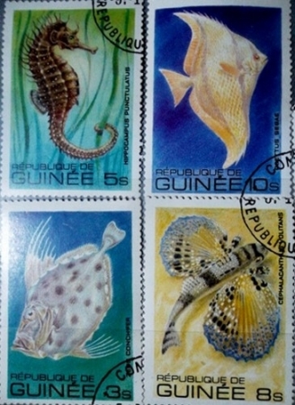 Марки - Фауна. Морская Фауна. Гвинея 1980 год. 4 шт.