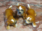 Фарфоровые статуэтки собачек 3 штуки Goebel W.Germany - вид 3