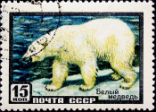 СССР 1957 год . Стандарт . Фауна . Белый медведь .(1)