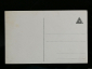 Почтовая карточка Открытка Первая четверть 20 века Германия Из-во NBC Молодой человек Мужчина Цветы - вид 1