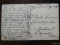 Почтовая карточка Открытка 1919 год Из-во LP Maria Цветы Розы - вид 1