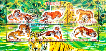 Чад 2013 год . Тигры Фауна Малый лист Гашеная (1)