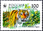 Россия 1993 год . Уссурийский тигр .