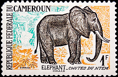 Камерун 1962 год . Фауна . Африканский слон .