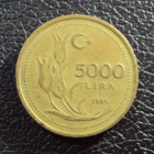 Турция 5000 лир 1995 год.