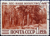  СССР 1960 год . Международный конгресс по охране лесов . Сиэтл (США) . (5) 
