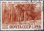 СССР 1960 год . Международный конгресс по охране лесов . Сиэтл (США) . (7) 
