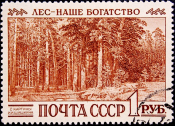 СССР 1960 год . Международный конгресс по охране лесов . Сиэтл (США) . (8) 