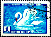 СССР 1959 год . Фауна СССР . Лебедь . (1)