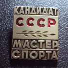 Кандидат в мастера спорта СССР.
