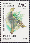 Россия 1993 год . Фауна мира . Тюлень . 