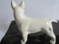 Бультерьер белый собака ,авторская керамика,Вербилки - вид 4
