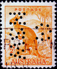 Австралия 1938 год . Рыжий кенгуру . (1)