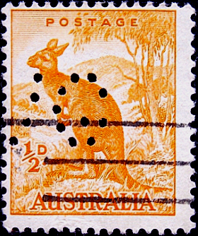 Австралия 1942 год . Рыжий кенгуру . (1)