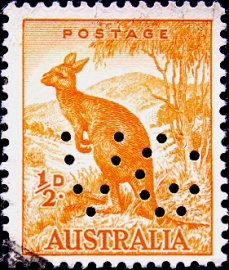 Австралия 1942 год . Рыжий кенгуру . (2)