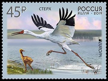 Россия 2019 2436 Фауна Птицы Европа СЕПТ MNH