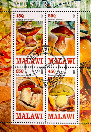 Малави 2013 год . Серия "Грибы", малый лист (1)