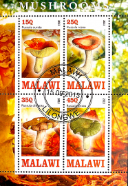 Малави 2013 год . Серия "Грибы", малый лист (2)
