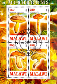 Малави 2013 год . Серия "Грибы", малый лист (3)