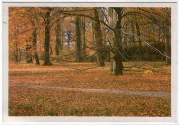 Календарик на 1988 год Осень