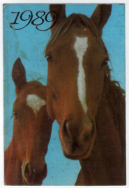 Календарик на 1989 год Лошадь