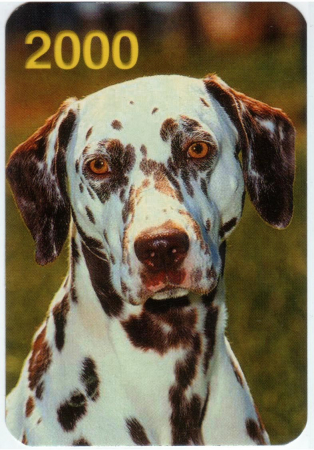 Календарик на 2000 год Собака 