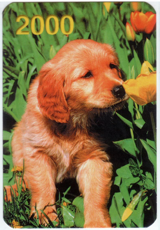Календарик на 2000 год Собака 1