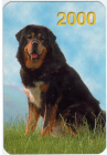 Календарик на 2000 год Собака 3