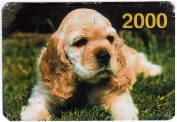 Календарик на 2000 год Собака 5