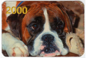 Календарик на 2000 год Собака 6