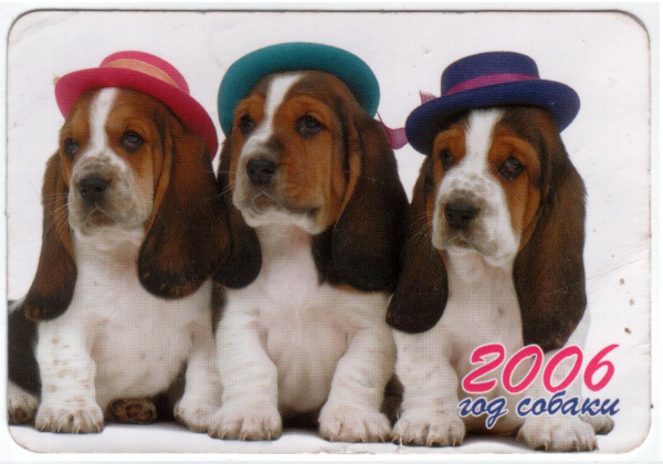 Календарик на 2006 год Год собаки