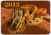 Календарик на 2013 год Год змеи 2